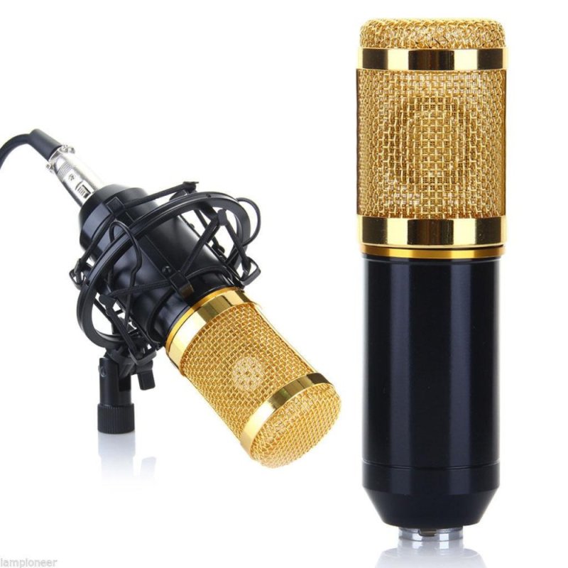 Pro Audio Dynamic BM800 Professional Condenser Microphone Mic +
Shock Mount - intl