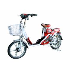 Xe đạp điện DK 18X
