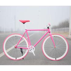 xe dap fixed gear