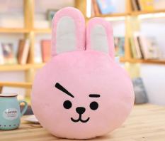 GỐI gấu bông Joongkook BT21- BTS (hồng)