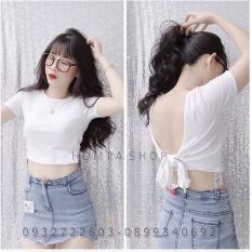 Somi caro cổ v cao cấp 2018