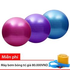 BG – Bóng tập Yoga cao cấp 65cm nhiều màu + Tặng bơm bóng Mini