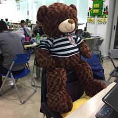 Gấu Bông Teddy Khổ vải 1m cao 80cm – Quà tặng dễ thương