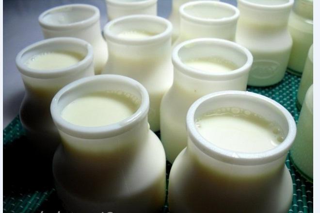 Combo 25 Hũ Nhựa Làm Sữa Chua Cỡ Lớn 140ML