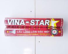 Combo 2 Ống Cầu Lông Vina Star – Đỏ