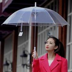 Ô dù trong suốt Hàn Quốc cá tính