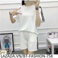 Đồ Bộ Áo Thun Nữ + Quần Đùi Sọt Thun Nữ Thể Thao, Ở Nhà, Đồ Ngủ Thời Trang Hàn Quốc Mới – BT Fashion (DBTT01B-3S)
