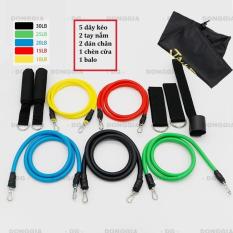 Dây đàn hồi tập Gym S2-11X, bộ dây tập thể lực 5 màu – Bộ 11 chi tiết, dây tập kháng lực 100LB tiêu chuẩn – DONGGIA