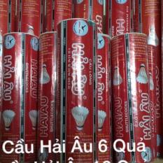 Hộp Cầu lông Hải Âu cao cấp – 6 quả/hộp