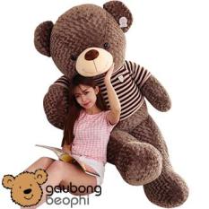 Gấu bông teddy áo len cao cấp khổ vải 1m6, món quà ý nghĩa chuyên dành cho việc tỏ tình, nhân dịp sinh nhật, quà tặng đồ chơi bằng bông an toàn cho bé