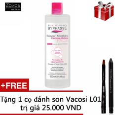Nước tẩy trang Byphasse Micellar Make-up Remover Solution 500ml + Tặng 1 cọ đánh son Vacosi L01