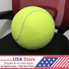 Bóng Tennis Bơm Hơi 24cm ITT1012