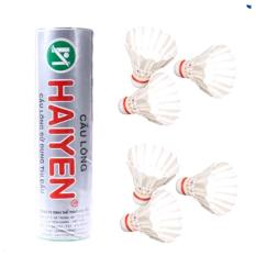 Ống cầu lông Hải Yến 6 quả