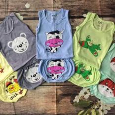 Set 5 bộ chip gấu bé trai/bé gái 4-14kg (size 2- 6)