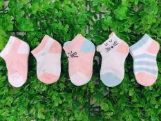 Bộ 5 đôi vớ tất lưới cho em bé từ 0-12 tháng tuổi(mẫu có tai chống mồ hôi trộm)