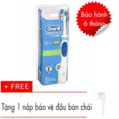 Bàn chải đánh răng điện Oral-B Vitality Plus crossaction + Tặng kèm 1 nắp bảo vệ đầu bàn chải