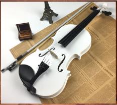 Đàn violin cao cấp Deviser V-30 MB