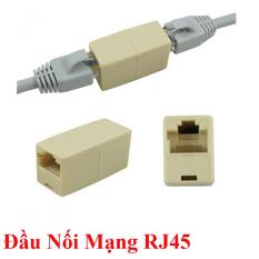 Đầu nối dây cáp mạng Internet / LAN chuẩn RJ45