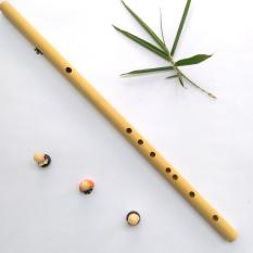 Sáo trúc tone đô