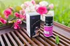 NỮ HOÀNG CÁM DỖ