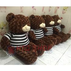 GẤU BÔNG TEDDY CAO CẤP KHỔ VẢI 1M SIÊU RẺ