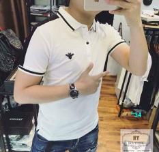 ÁO THUN NAM CỔ BẺ CAO CẤP ẤN TƯỢNG THỜI TRANG TAYLOR FASHION TYU25