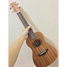 ĐÀN CONCERT LÁ LÚA CAO CẤP