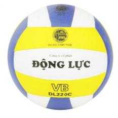 BÓNG CHUYỀN DL 220C