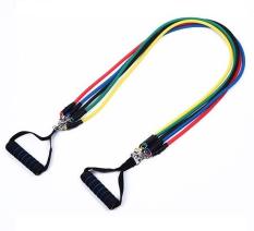Bộ dây đàn hồi tập thể hình Resistant Band ZDH02