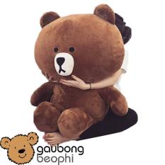 Gấu Brown màu Socola khổ vải 1M, Shop Gấu Bông Béo Phì, món quà ý nghĩa dành tặng cho bạn gái nhân dịp tỏ tình, sinh nhật.