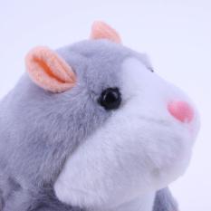 Chuột Hamster biết nói – Talking Hamster