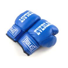 Găng đấm boxing Everlast phucthanhsport (Xanh)