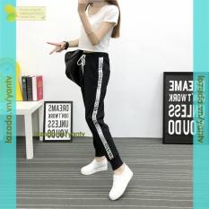 Quần Jogger Chữ Hông yantv