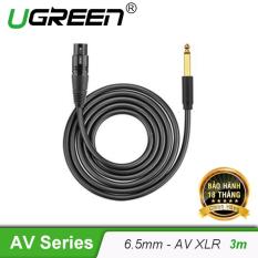 Cáp chuyển đổi từ 6.5mm sang AV Cannon (XLR) âm cho microphone, stereo, mixer, amplifier, camera Environment dài 3M UGREEN AV131 20720(Đen)
