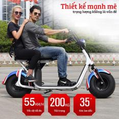 Xe điện Homesheel Y3