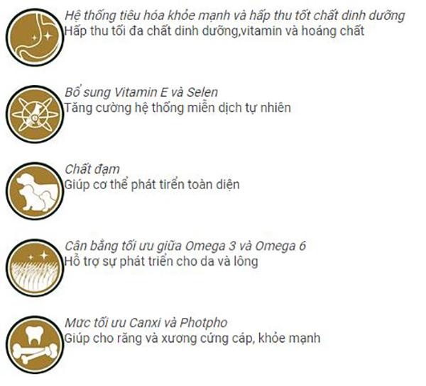 Thức Ăn Vị Thịt Bò Cho Chó - Thức ĂN Cho Chó Lớn - Thức Ăn Cho Chó CP Classic...