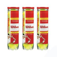 3 lon bóng tennis wilson đỏ 4