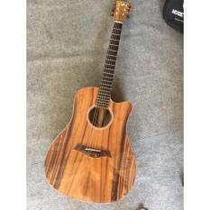 Guitar Điệp