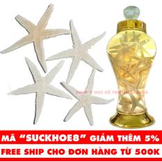 Sao Biển 100 Gam – Tăng cường sức khoẻ phái mạnh