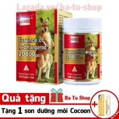 Viên uống sinh lý nam Costar Essence of Red Kangaroo 20800 Max (100 viên) tặng 1 son dưỡng môi Cocoon