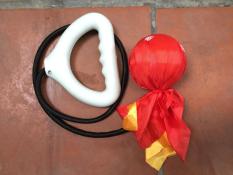 Chùy tập dưỡng sinh – Ba la chùy