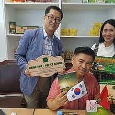 trà thanh lọc, tiêu độc cơ thể