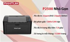 Máy in laser đơn sắc Pantum P2500