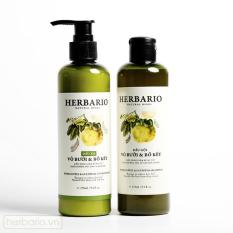 Combo DẦU GỘI và DẦU XẢ vỏ bưởi và bồ kết Herbario 270ml x 2 giúp chăm sóc tóc