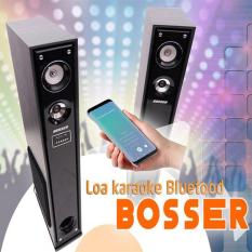 Loa karaoke Bluetooth