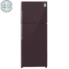 Tủ lạnh Hitachi R-VG440PGV3 (GBW) 365L (2 Cửa) (Nâu)