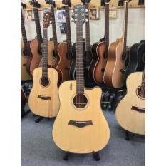 guitar Rosen