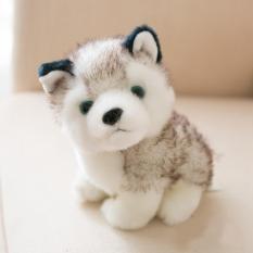 Gấu bông, thú nhồi bông – Chó bông husky