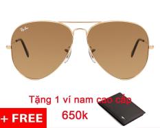 Kính mát nam RAYBAN RB3026 001/51 MÀU TRÀ