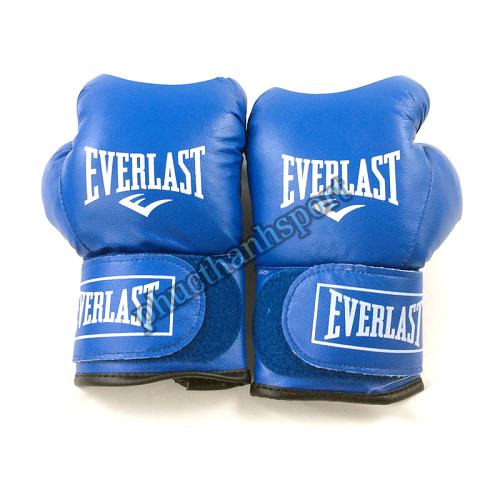 [HCM]Găng đấm boxing Everlast 10oz